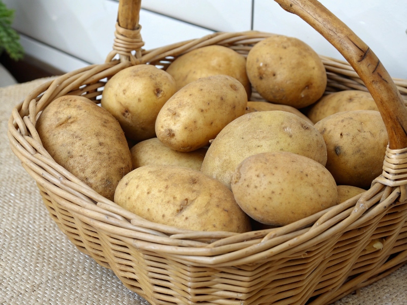 سیب زمینی چه خاصیتی دارد؟