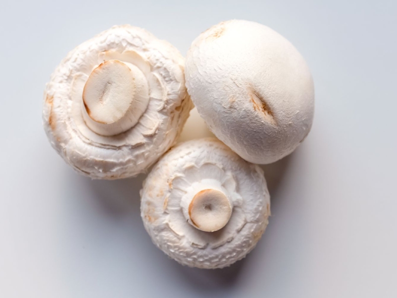 قارچ دکمه ای سفید