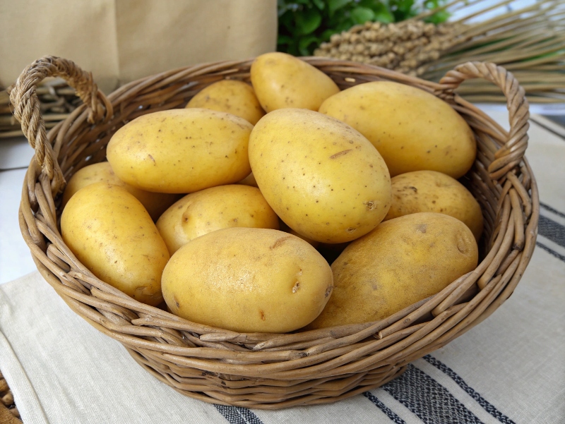 آیا سیب زمینی گلوتن دارد؟