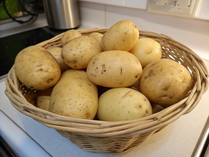 طبع سیب زمینی