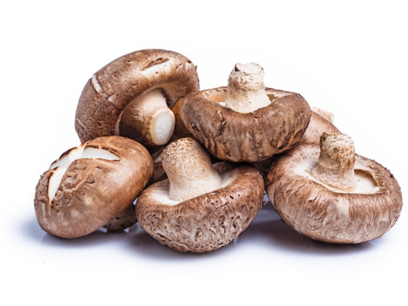 قارچ شیتاکه