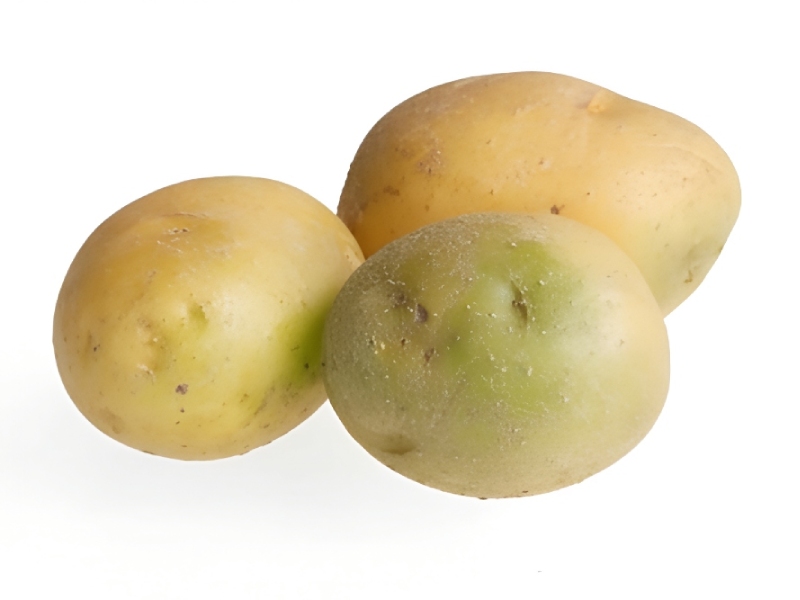 سیب زمینی سبز سرطان زاست؟