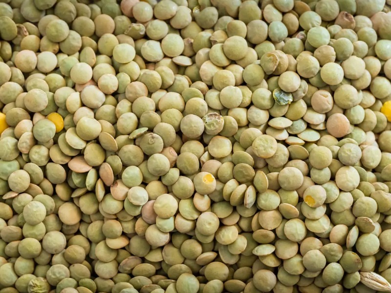 هدس مناسب برای کاهش قند خون