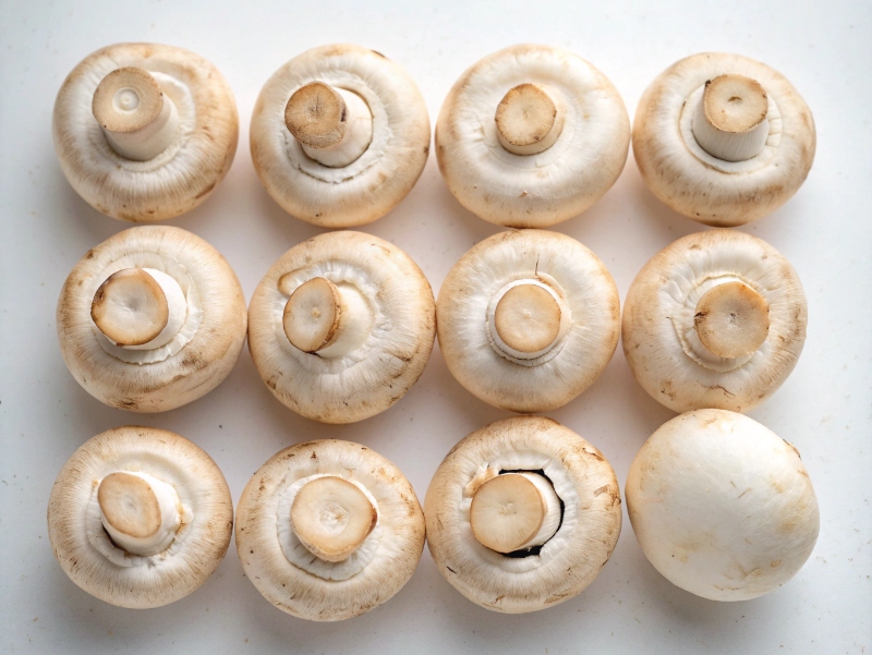 تمیز کردن قارچ