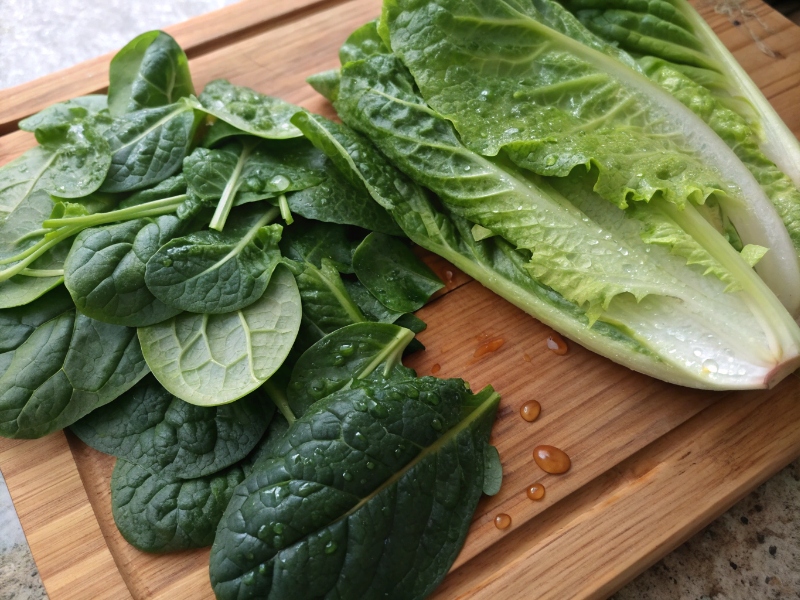 اسفناج و کاهو